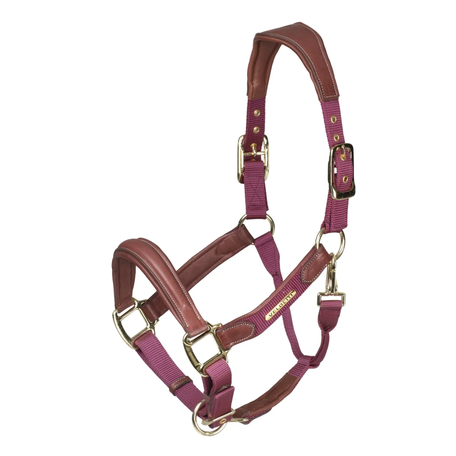 Shires Velociti Lusso Padded Leather Halter - Image 2