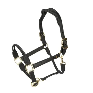 Shires Velociti LUSSO Soria Control Leather Headcollar