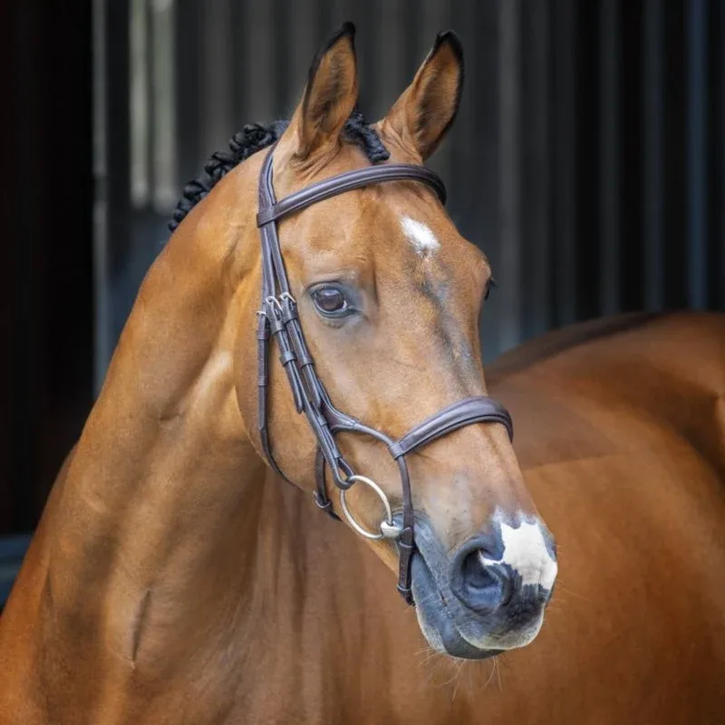 Shires Velociti Rolled Padded Cavesson Bridle - Image 2