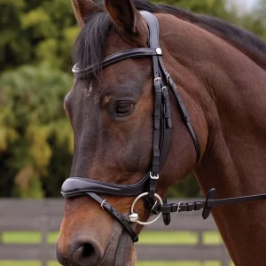 Showmark® Ergonomic Flash Bridle