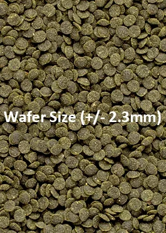 Shrimp Wafers - Image 2
