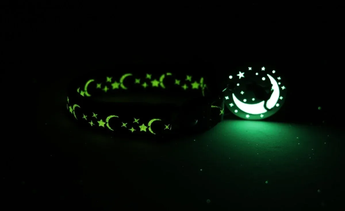 Silver Moons and Stars on Blue Cat Collar