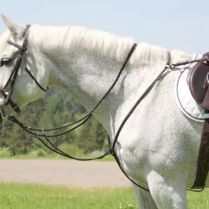 Silverleaf Squ Breastplate/Run Attach Cob Walnut