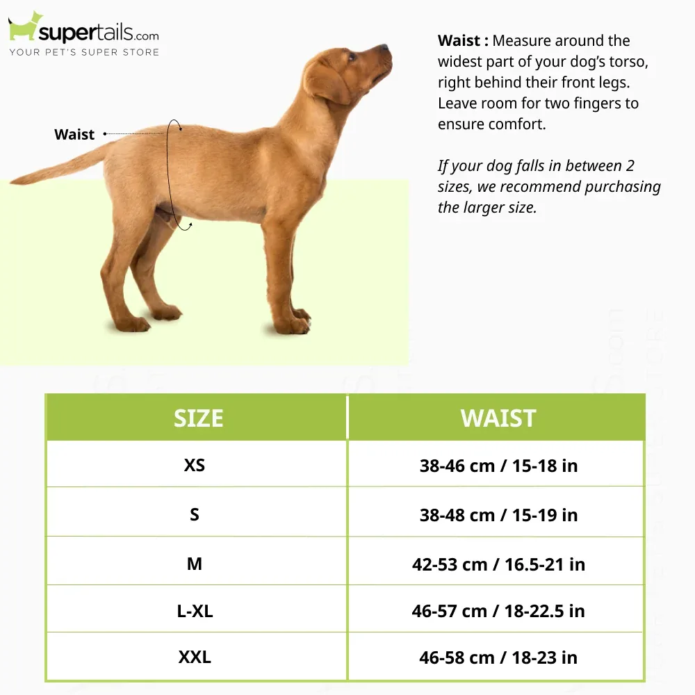 Simple Solution Disposable Diaper for Female Dogs (42x53cm) - Image 2