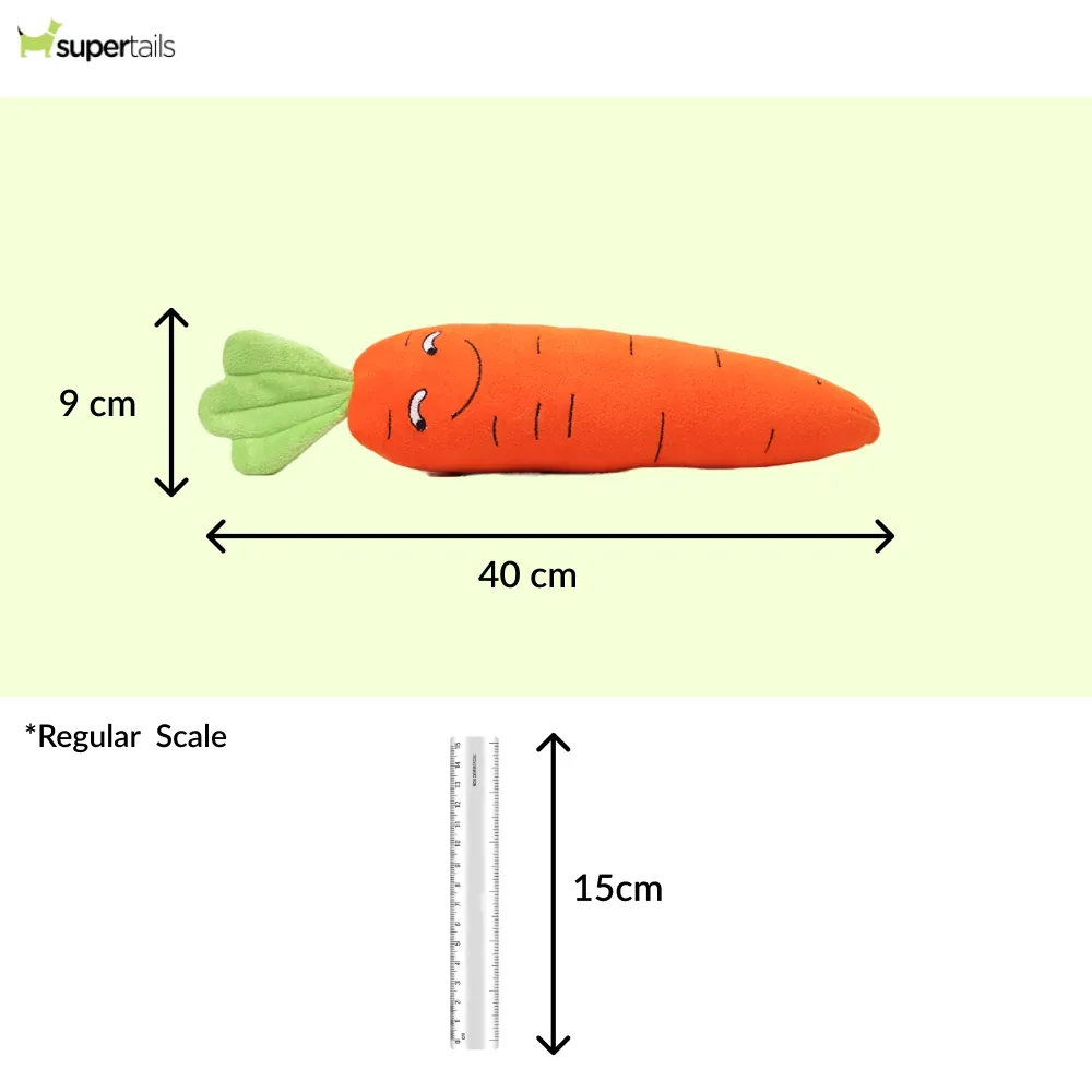 Skatrs Carrot Plush Toy for Dogs - Image 2