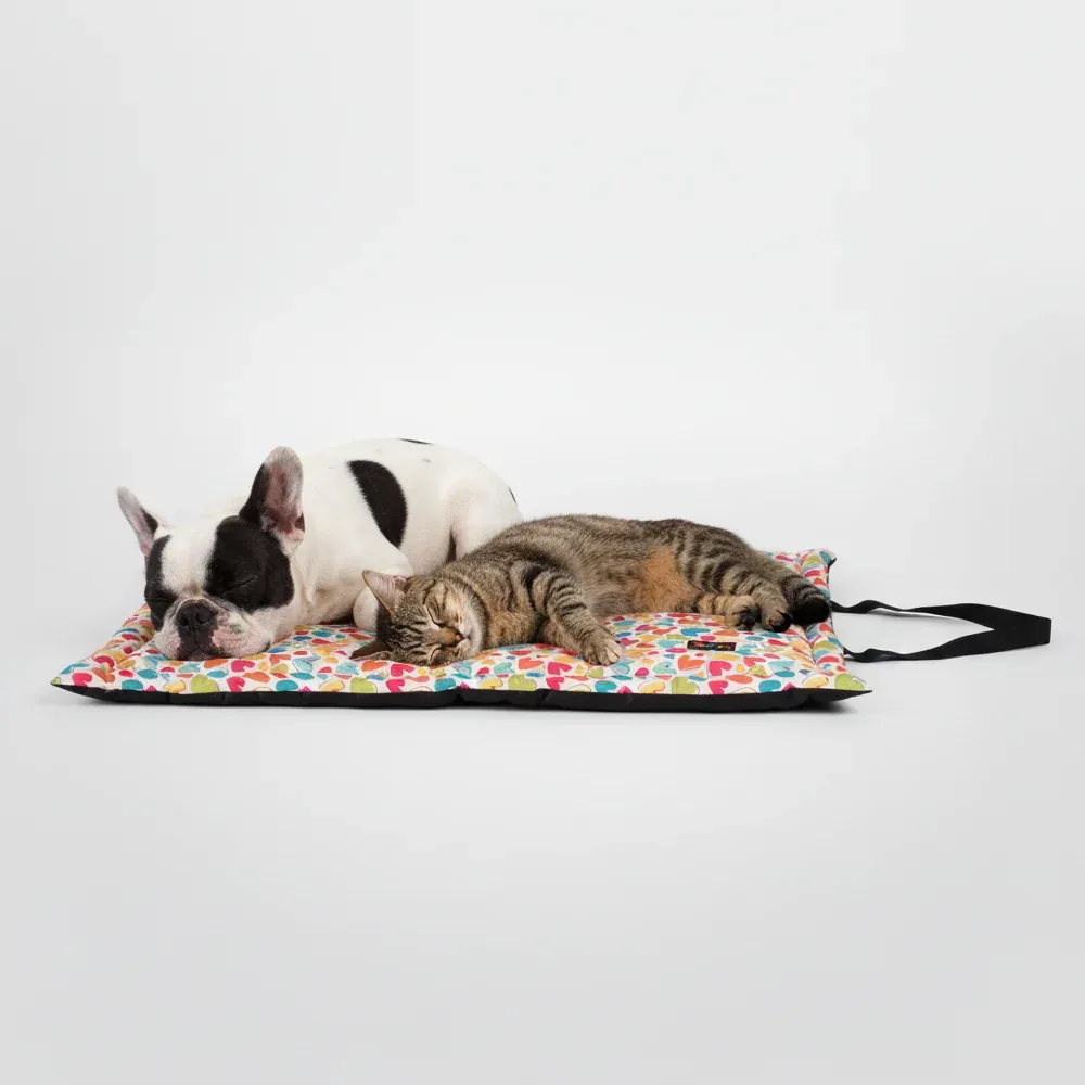 Skatrs Cozy Love Printed Mats for Dogs and Cats