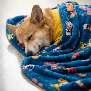 Skatrs Dog Print Blanket for Pets & Humans (Blue)