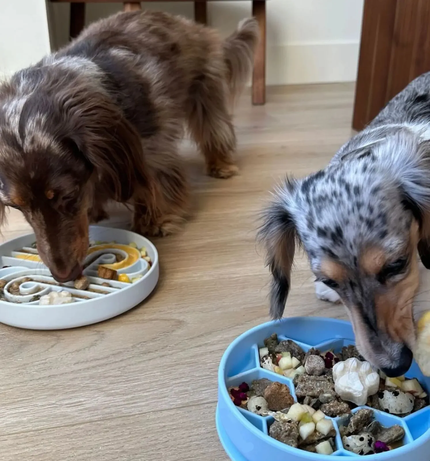 Slow Feeder Dog Bowl – Anti-Choke Feeding Bowl - Image 2