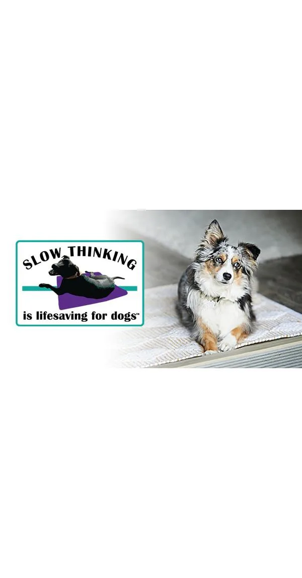 Slow Thinking Is Lifesaving for Dogs™: Why It's Important & How to Teach It