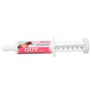 SmartEquine GUT Paste