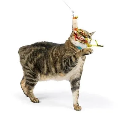 Snacky Teasers 3pk Refill Cat Toy - Image 2