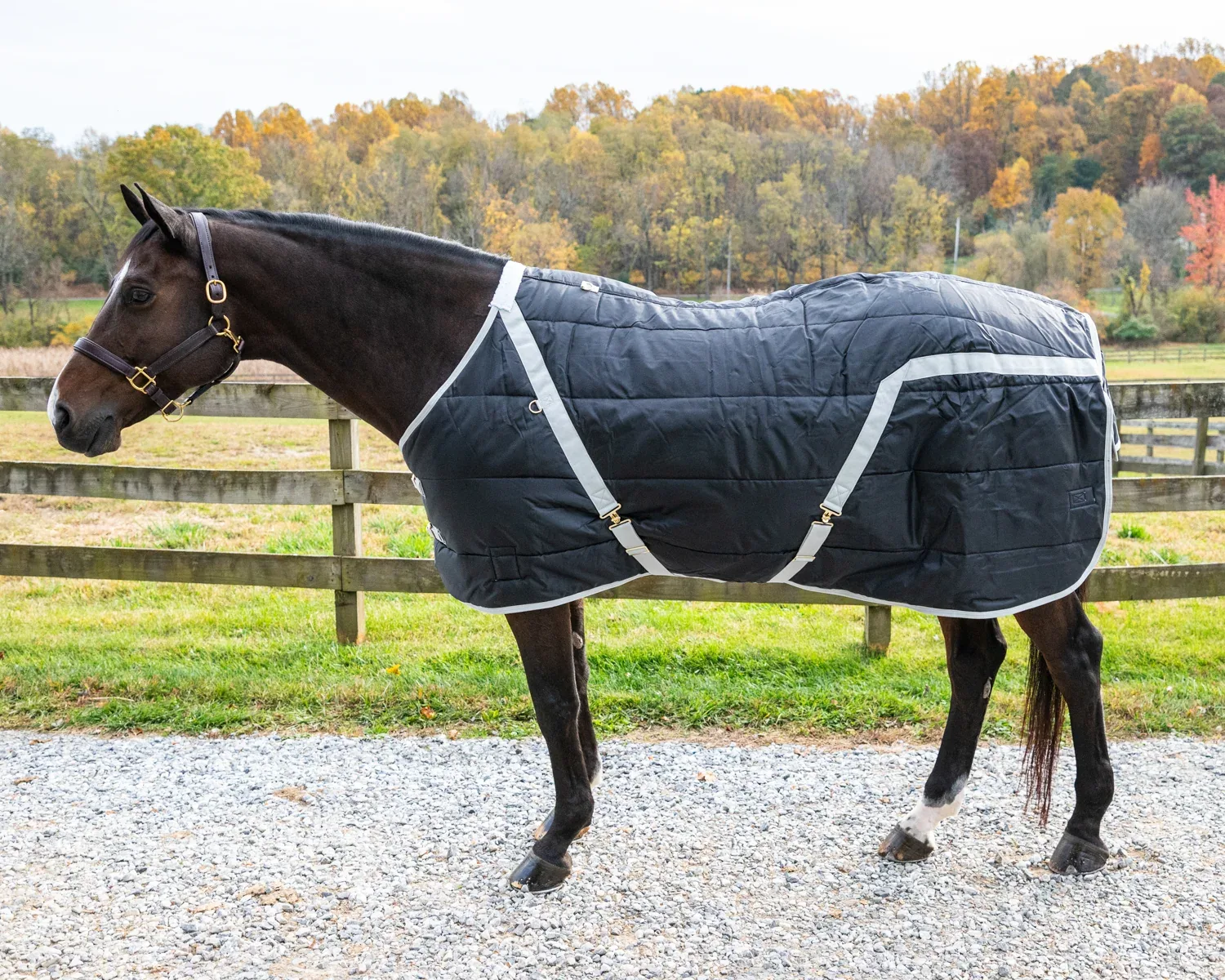 Snuggie Heavyweight Stable Blanket, Small