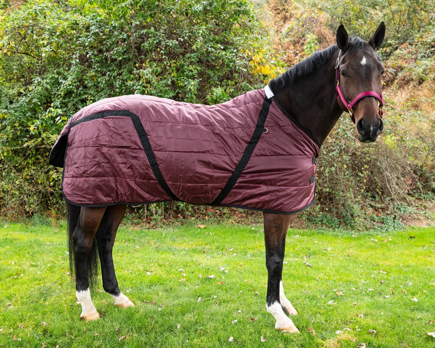 Snuggie Heavyweight Stable Blanket, Small - Image 2