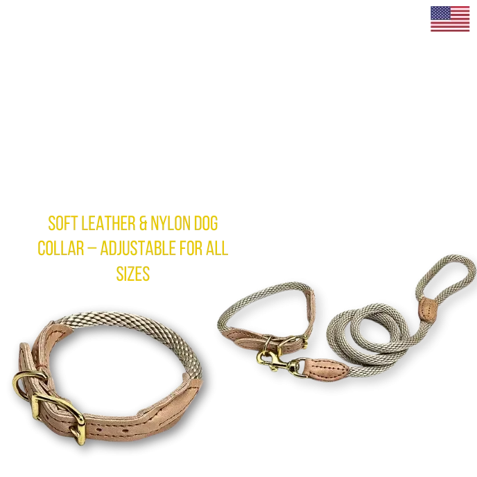 Soft Leather & Nylon Dog Collar – Adjustable for All Sizes