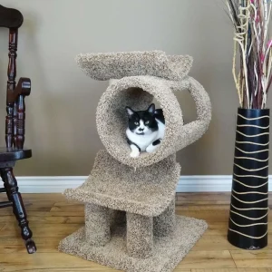 Solid Wood Cat Gym & Activity Tower for Indoor Cats