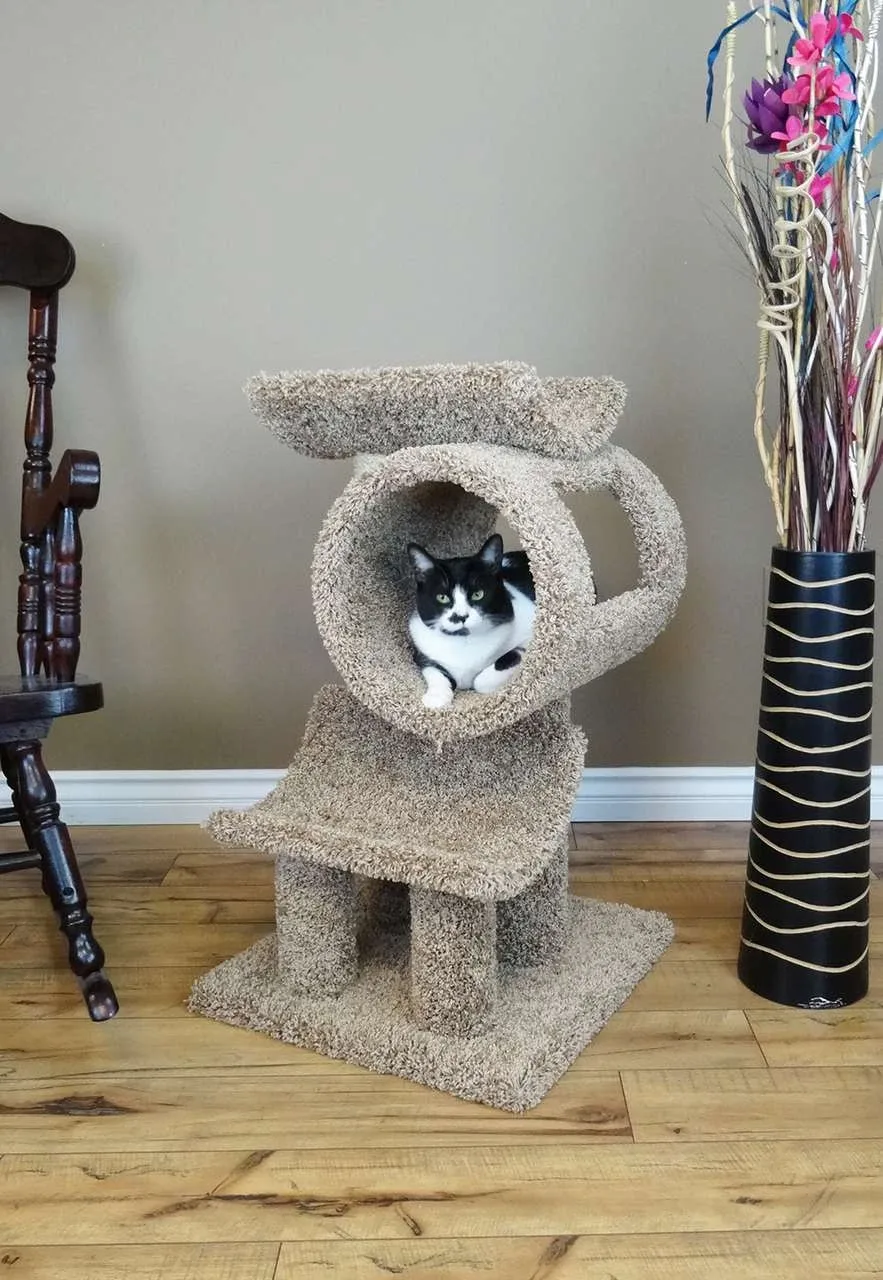 Solid Wood Cat Gym & Activity Tower for Indoor Cats