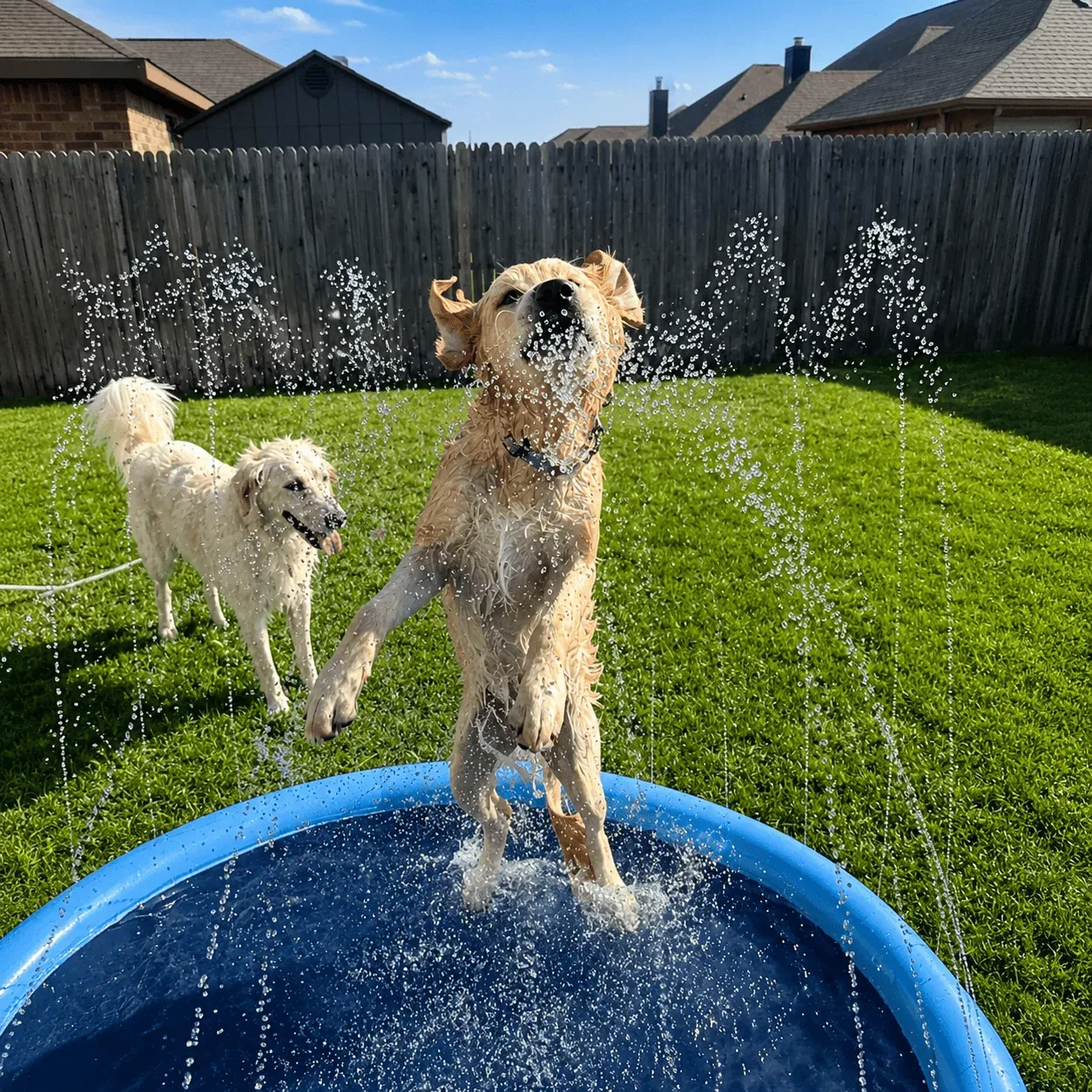 Splash Cooling Dog Splash Pad - Image 2