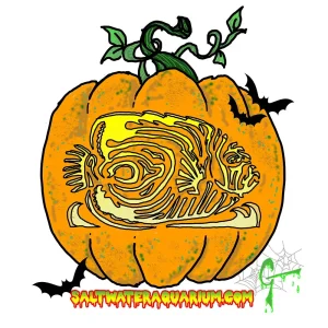 Spooky Punkin SaltwaterAquarium.com Sticker (FREE OVER $50) - SAQ.com