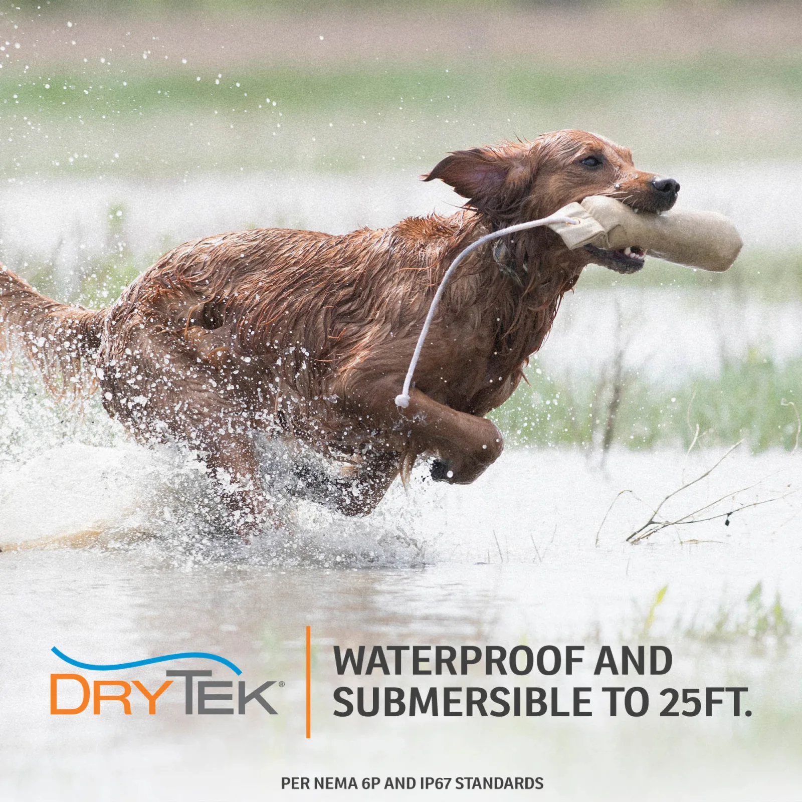 SportDOG Brand® YardTrainer 100S Remote Trainer - For Stubborn Dogs - Image 2