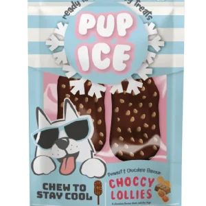Spot Pup Ice Dog Chew Treat Choccy Lollie Peanut & Chocolate 2 pk