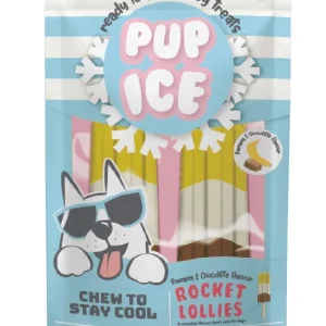 Spot Pup Ice Dog Chew Treat Rocket Lollie Banana & Chocolate 2 pk