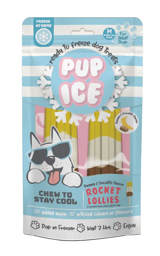 Spot Pup Ice Dog Chew Treat Rocket Lollie Banana & Chocolate 2 pk