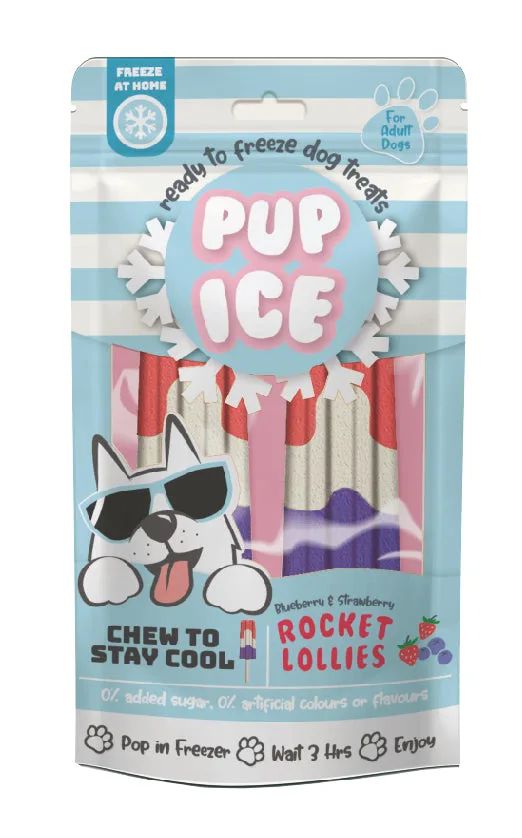 Spot Pup Ice Dog Chew Treat Rocket Lollie Strawberry & Blueberry 2 pk