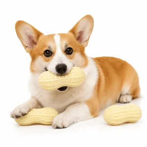Squeaky Peanut Dog Chew Toy – Textured Dental Toy for Boredom & Interactive Play