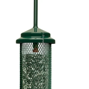 Squirrel Buster Legacy Wild Bird Feeder