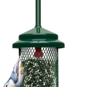 Squirrel Buster Standard Wild Bird Feeder