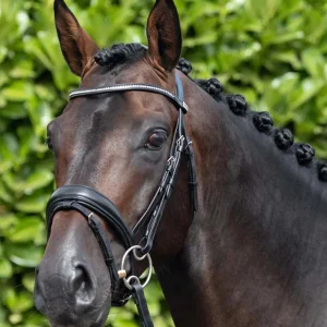 Stellazio Anatomical Snaffle Bridle with Flash Black