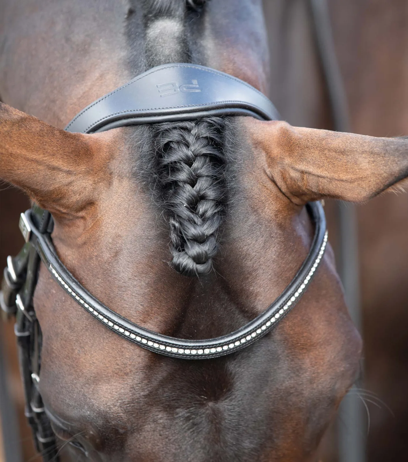Stellazio Anatomical Snaffle Bridle with Flash Black - Image 2