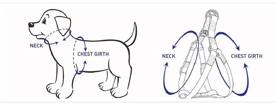 Step-in Dog Harness, Black - Image 2