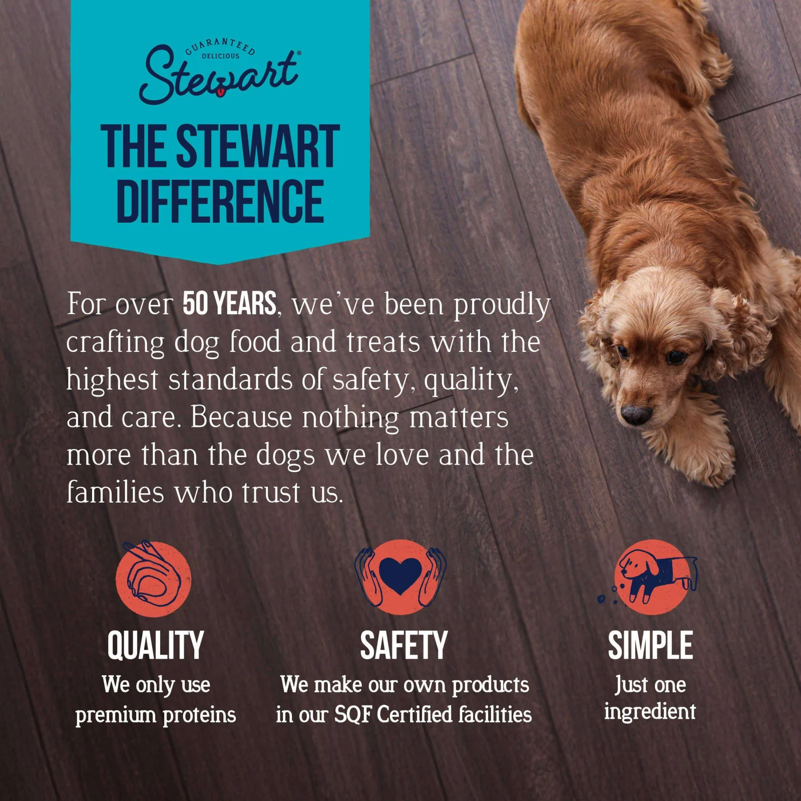 Stewart Beef Liver Single Ingredient Freeze-Dried Dog Treats 21 oz Value Tub - Image 2