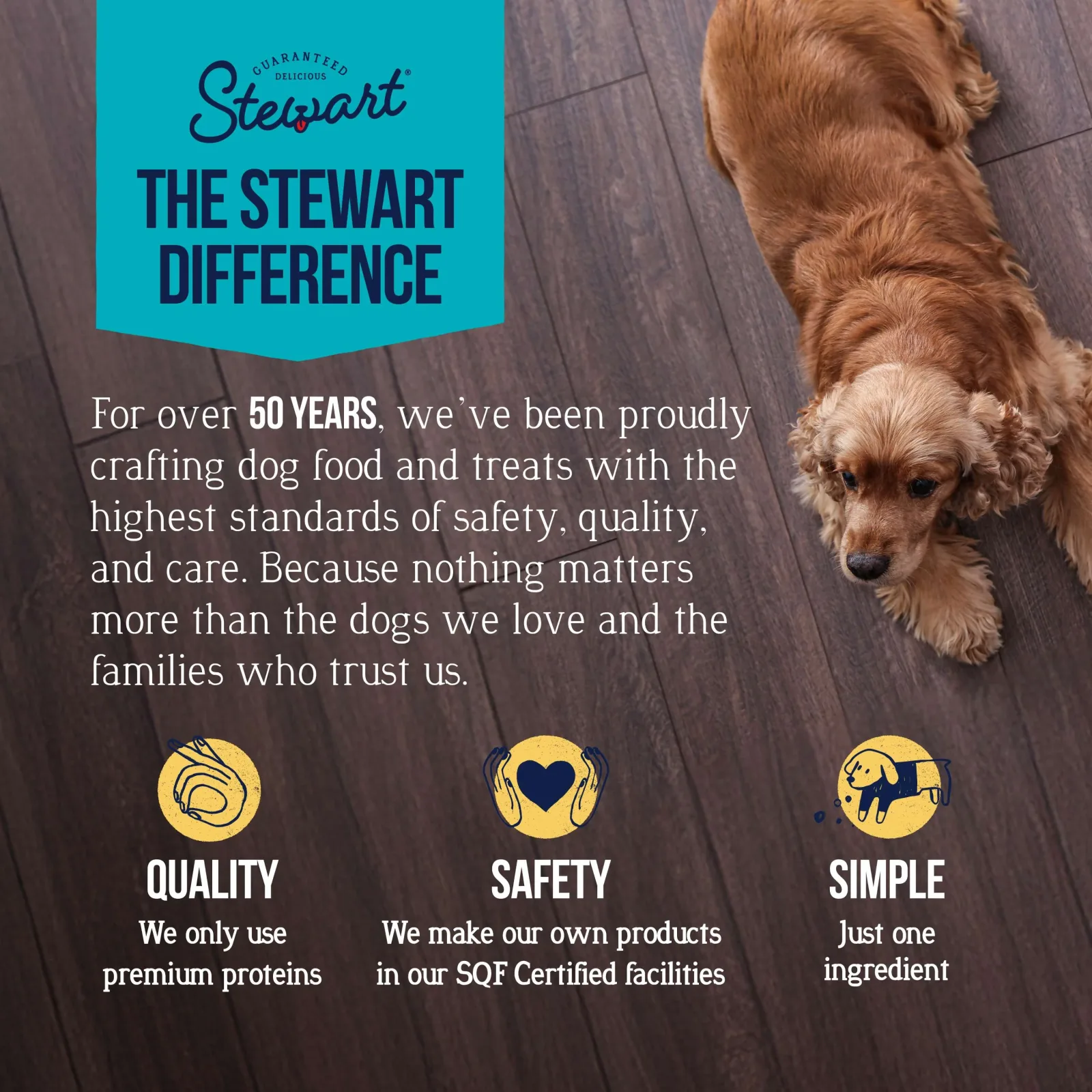 Stewart Chicken Liver Single Ingredient Freeze-Dried Dog Treats 16.8 oz Tub - Image 2