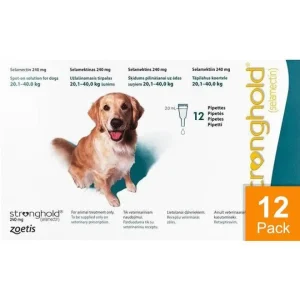 Stronghold Teal Dogs 44