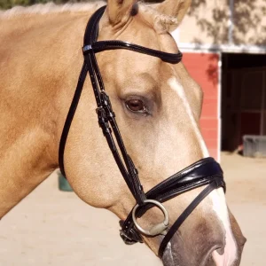 Stübben Patent Switch Combo Bridle