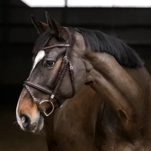 Stübben Pro Jump Bridle with Removable Flash Noseband