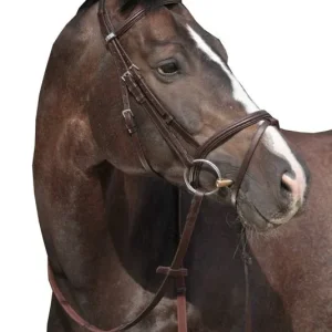 Stubben RFS Leitrim Bridle