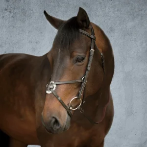 Suffolk™ Figure-8 Bridle