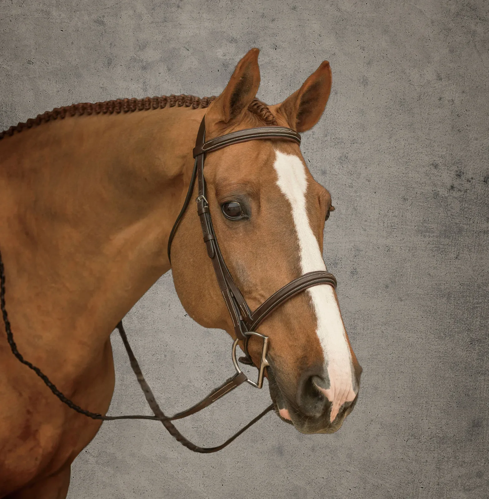 Suffolk™ Hunter Bridle