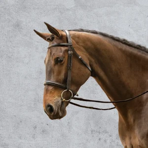 Suffolk™ Single Crown Classic Dressage Bridle