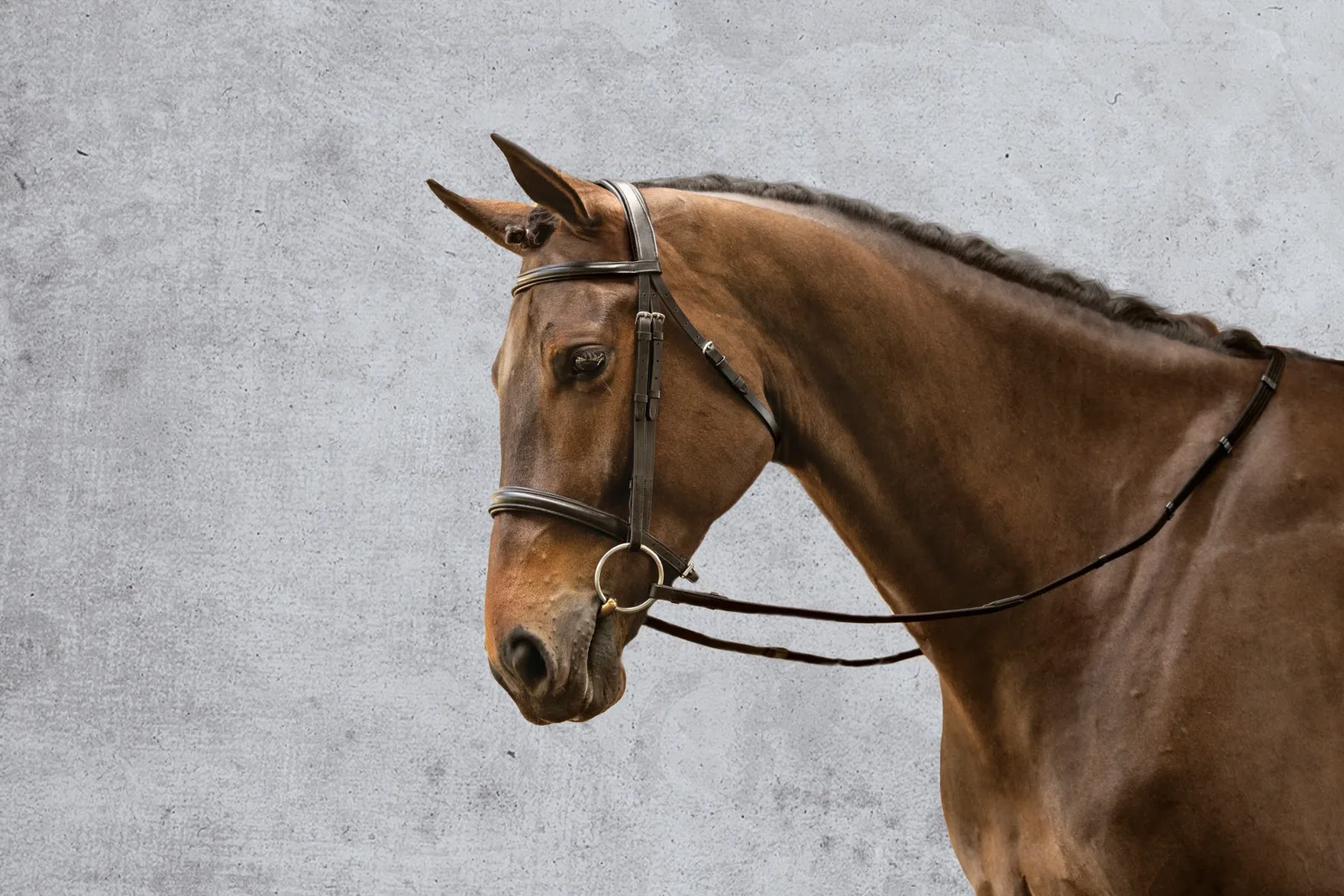 Suffolk™ Single Crown Classic Dressage Bridle