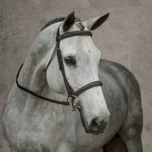 Suffolk™ Single Crown Hunter Bridle