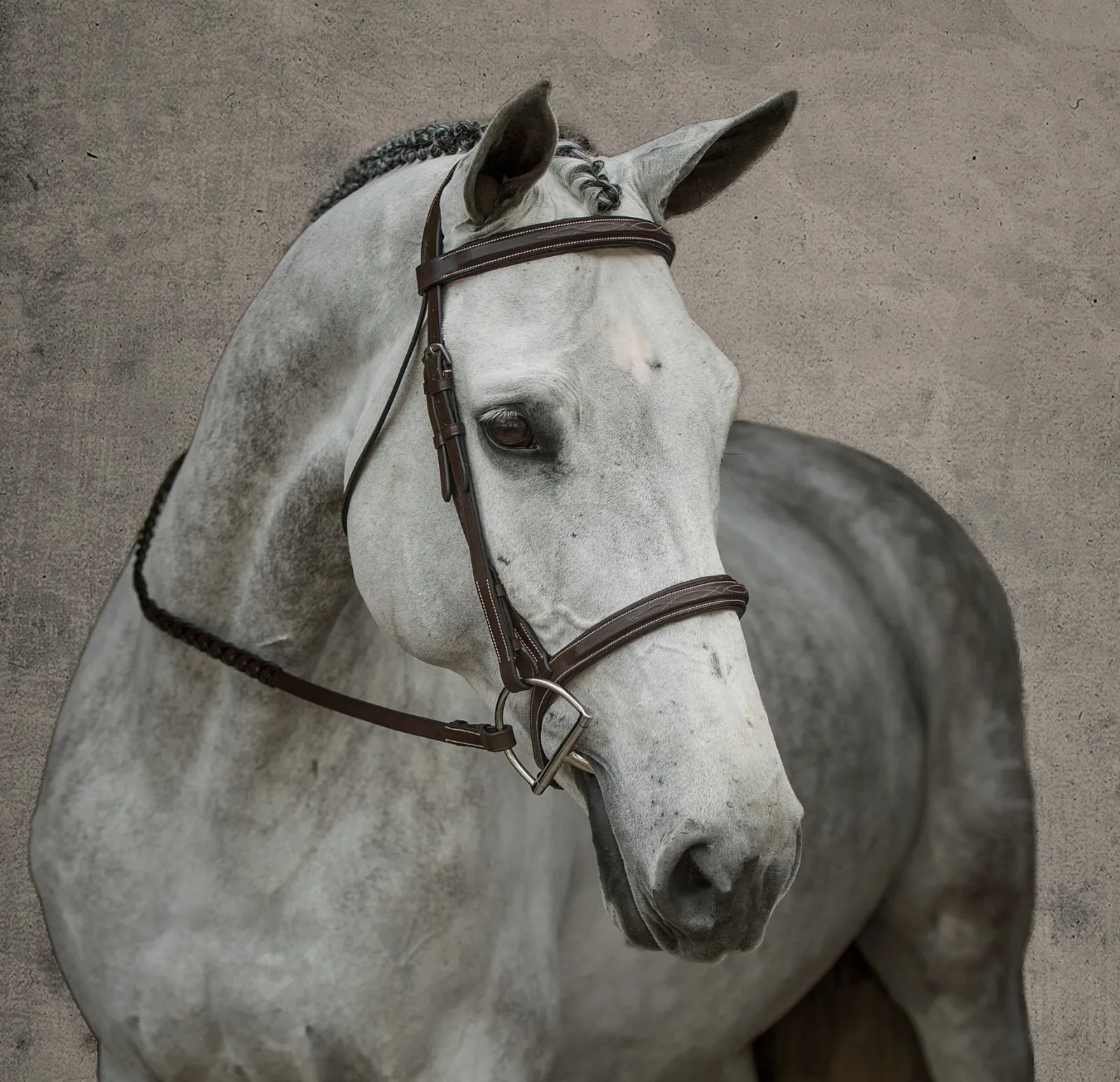 Suffolk™ Single Crown Hunter Bridle