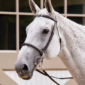 Suffolk™ Training Bridle