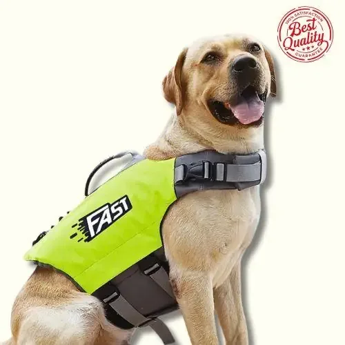 Summer Pet Dog Life Jacket – Safe & Stylish Swimming Vest for Dogs
