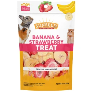 Sun Seed Banana & Strawberry Small Animal Treats 0.7 oz