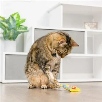 Sweetest Fish Cat Toy - Image 2