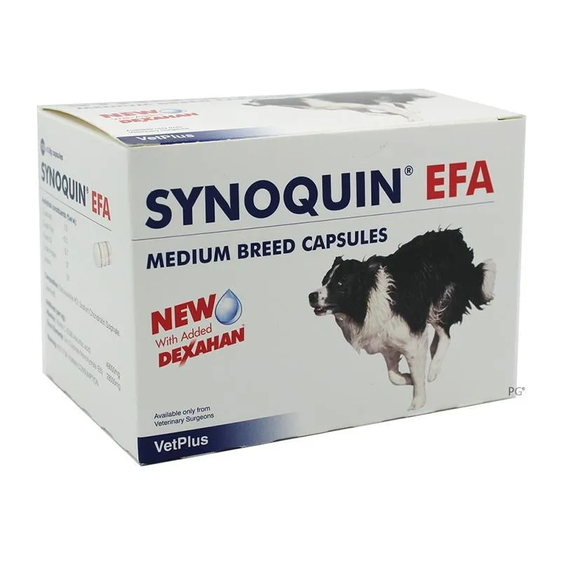 Synoquin EFA Capsules for Medium Dogs 20-50 lbs (10-25 kg) - 120 Pack